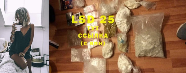 гидра Володарск