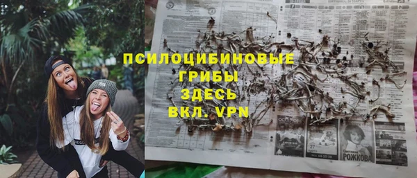 герыч Вяземский