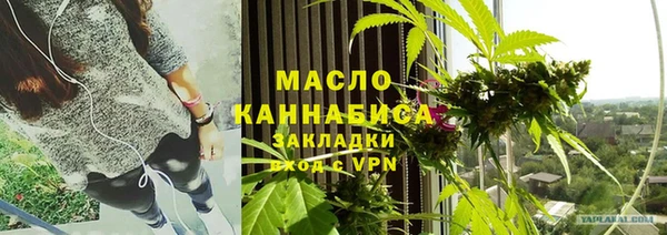 гидра Володарск