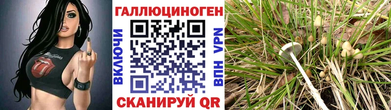 Купить  Мамоново  Псилоцибиновые грибы мицелий 
